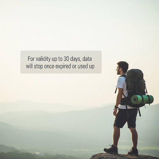 Data in Total - Local eSIM Plans by Country